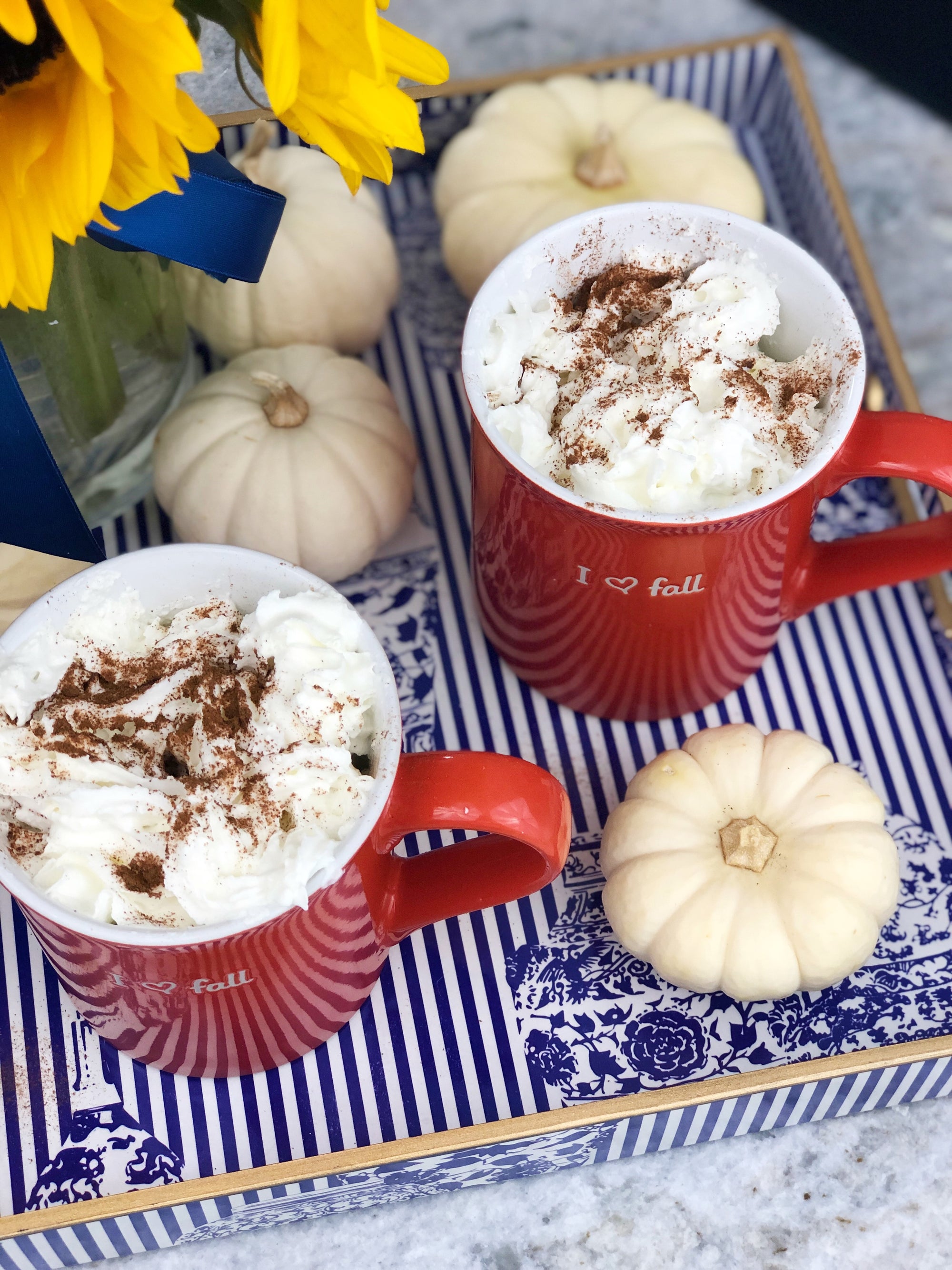 Fall Inspired Pumpkin Spice Hot Chocolate Crockpot Recipe